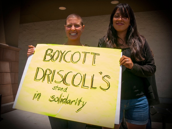 sm_boycott-driscolls-watsonville-safeway_13_7-2-16.jpg 