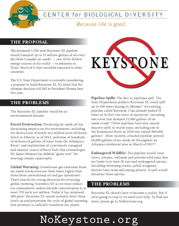 keystone_factsheet_print_and_web.pdf_600_.jpg
