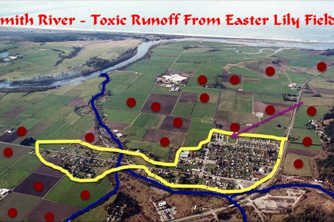 480_smith_river_toxic_fields_1.jpg