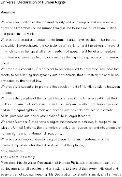 universal_declaration_of_human_rights.pdf_600_.jpg
