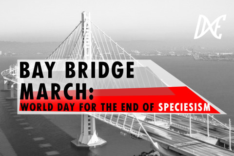 480_bay_bridge_march-_world_day_for_the_end_of_speciesism__1.jpeg