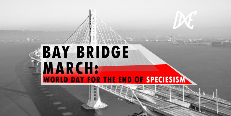 sm_bay_bridge_march-_world_day_for_the_end_of_speciesism_.jpeg 