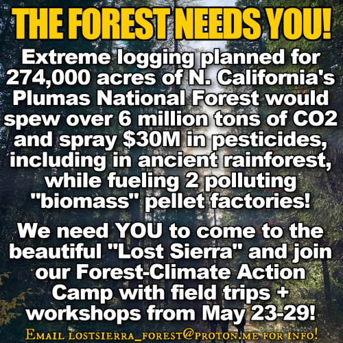 Come out to the Lost Sierra Forest-Climate Action Camp from May 23-29 in the Plumas N.F.!