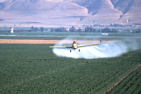 Agricultural Pesticide Use Up 10% in Monterey, 9.4% in Santa Cruz