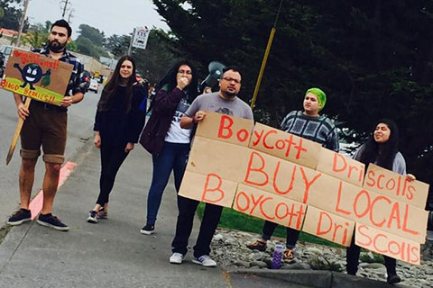 International Days of Action to Boycott Driscoll's