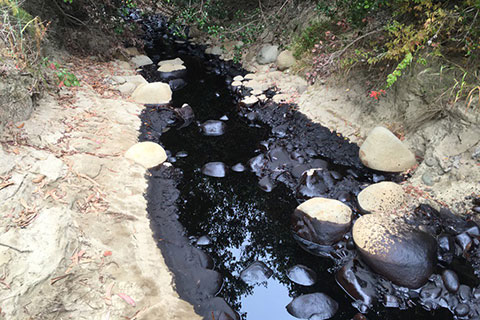 Ventura Oil Spill is No Surprise