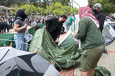 Occupations Established at UC Berkeley and Cal Poly Humboldt